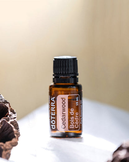 Bois de cèdre (Cedarwood) huile essentielle doTERRA, 15 ml