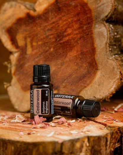 Bois de cèdre (Cedarwood) huile essentielle doTERRA, 15 ml