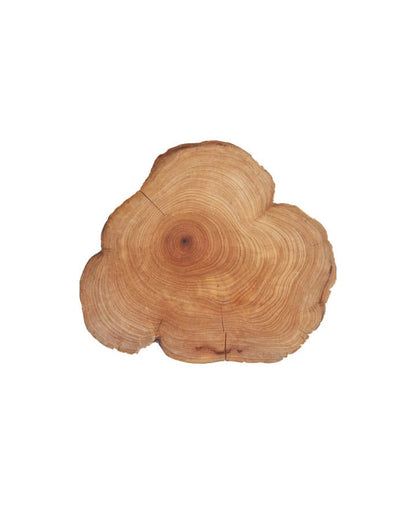 Bois de cèdre (Cedarwood) huile essentielle doTERRA, 15 ml