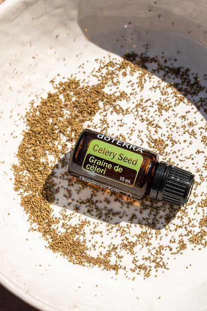 Graines de céleri (Celery Seed) huile essentielle doTERRA, 15ml