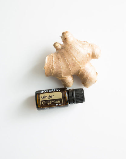 Gingembre huile essentielle doTERRA, 15 ml