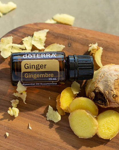 Gingembre huile essentielle doTERRA, 15 ml