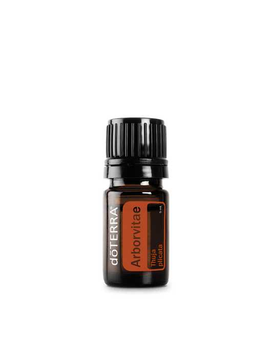 Thuya (Arborvitae) huile essentielle dōTERRA | 5 ml
