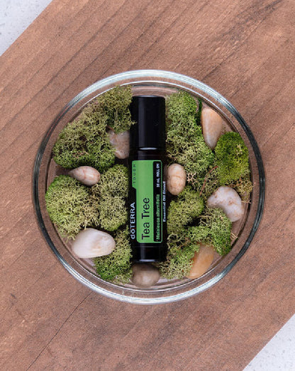 Arbre à thé (Tea Tree) Touch dilué en applicateur à bille d'huile essentielle doTERRA, 10 ml