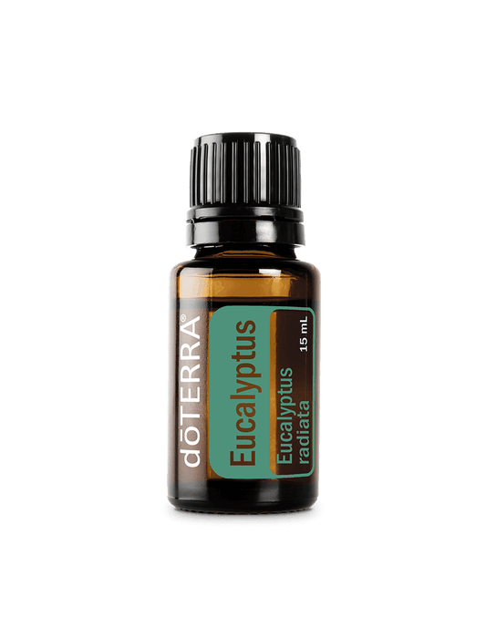 Eucalyptus radiata huile essentielle dōTERRA | 15 ml