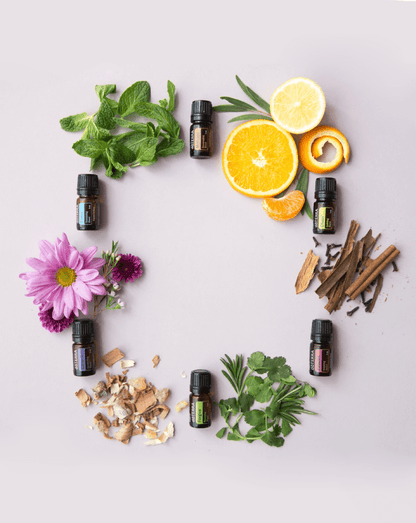 Kit Essential Aromatics d'huiles essentielles doTERRA