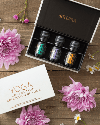 Kit Yoga d'huiles essentielles doTERRA, 5 ml
