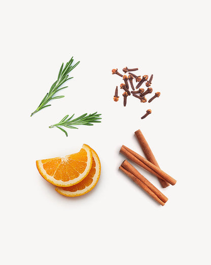 On Guard Touch mélange en applicateur à bille d'huile essentielle doTERRA, 10 ml