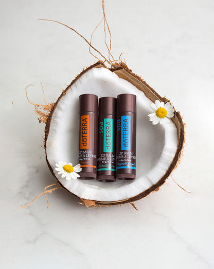 Paquet de 3 baumes pour les lèvres doTERRA SPA, 4.5 g