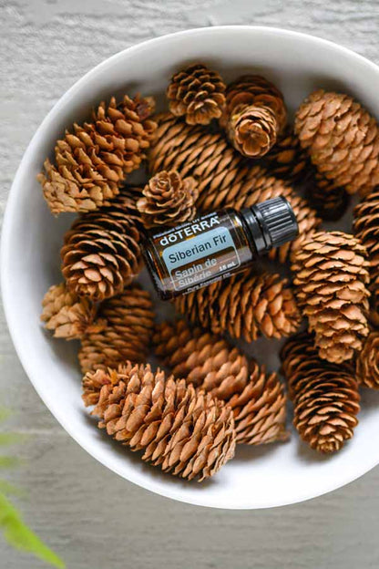 Sapin de Sibérie huile essentielle doTERRA, 15 ml